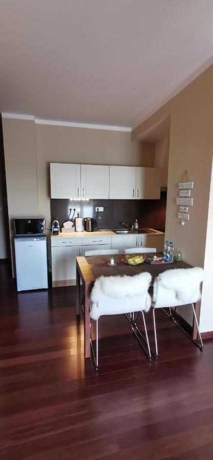 Moser Apartment Carlsbad كارلوفي فاري المظهر الخارجي الصورة
