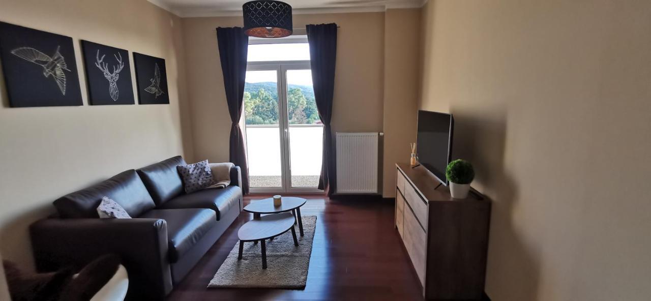 Moser Apartment Carlsbad كارلوفي فاري المظهر الخارجي الصورة